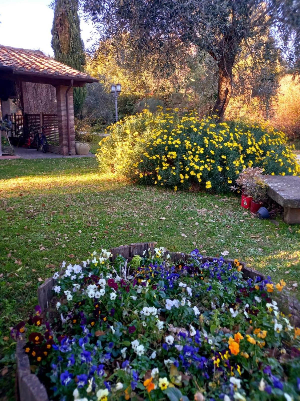 La Chiesuola Bed & Breakfast Bagnaia  Екстериор снимка