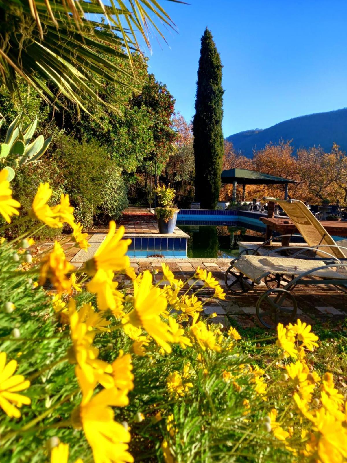 La Chiesuola Bed & Breakfast Bagnaia  Екстериор снимка