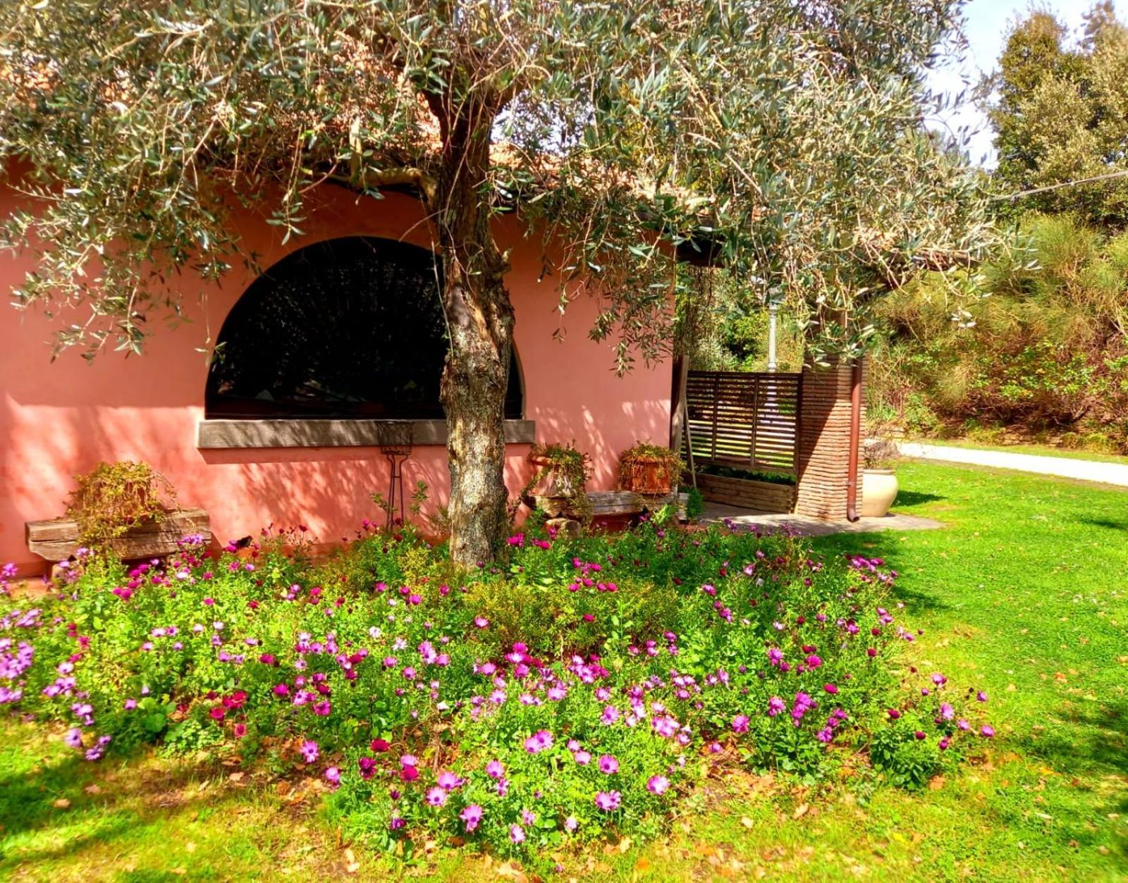 La Chiesuola Bed & Breakfast Bagnaia  Екстериор снимка
