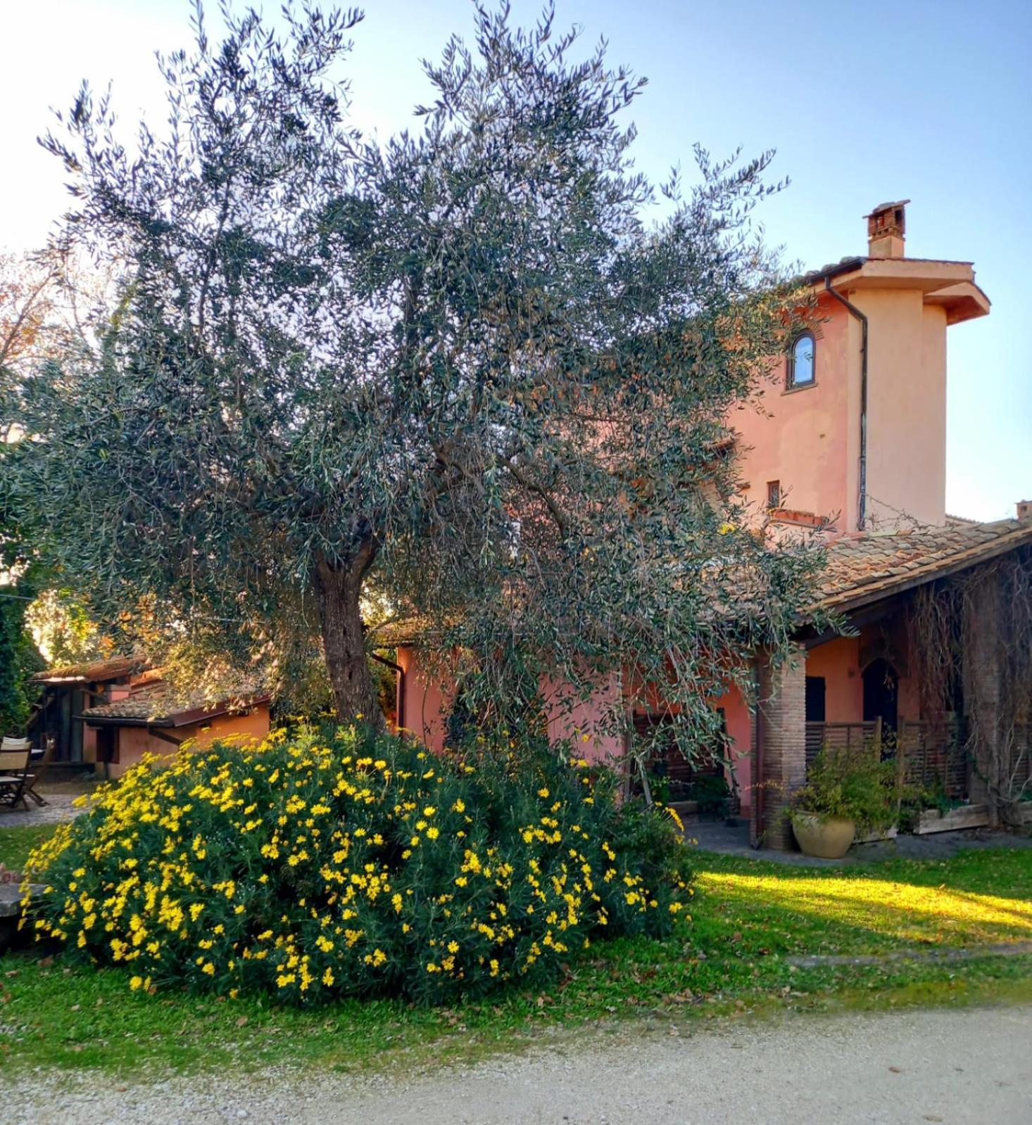 La Chiesuola Bed & Breakfast Bagnaia  Екстериор снимка