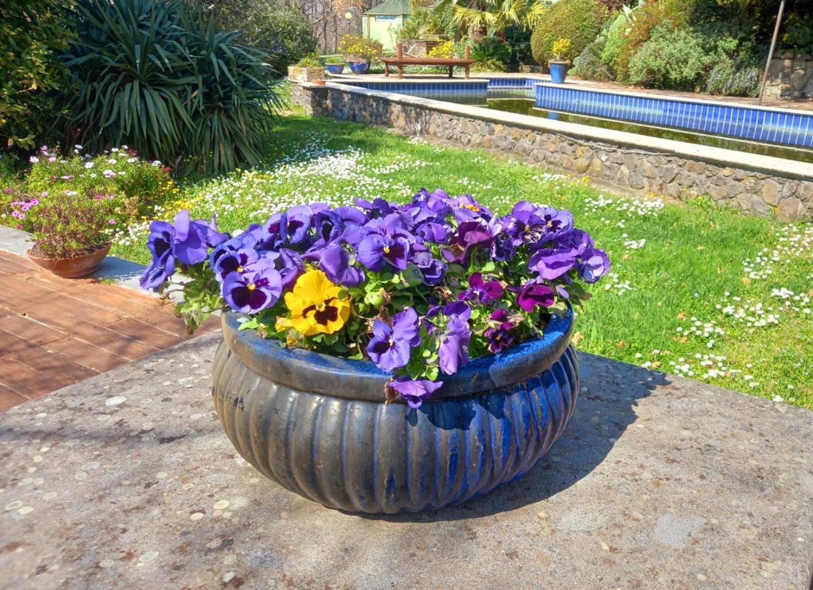 La Chiesuola Bed & Breakfast Bagnaia  Екстериор снимка