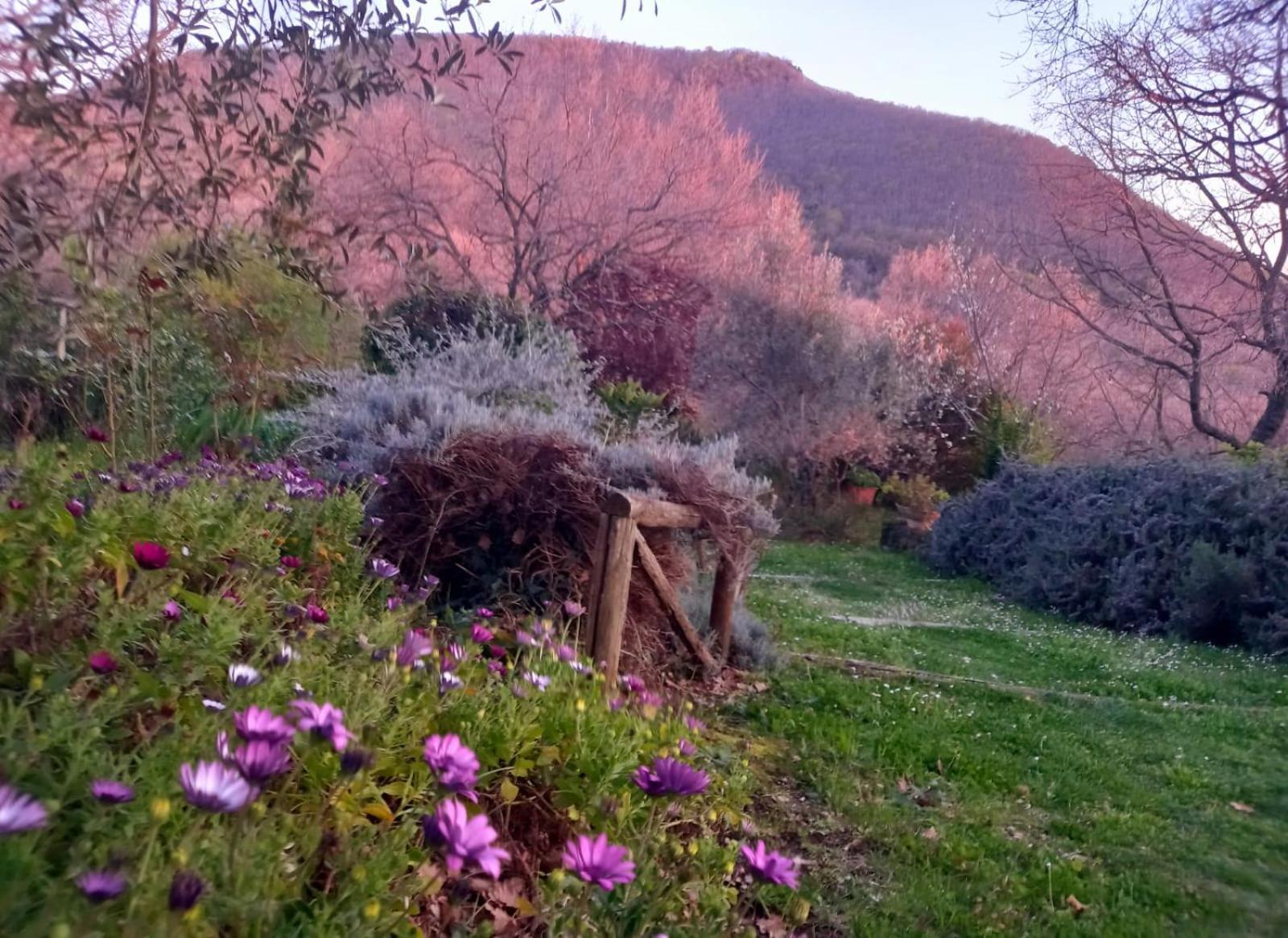 La Chiesuola Bed & Breakfast Bagnaia  Екстериор снимка